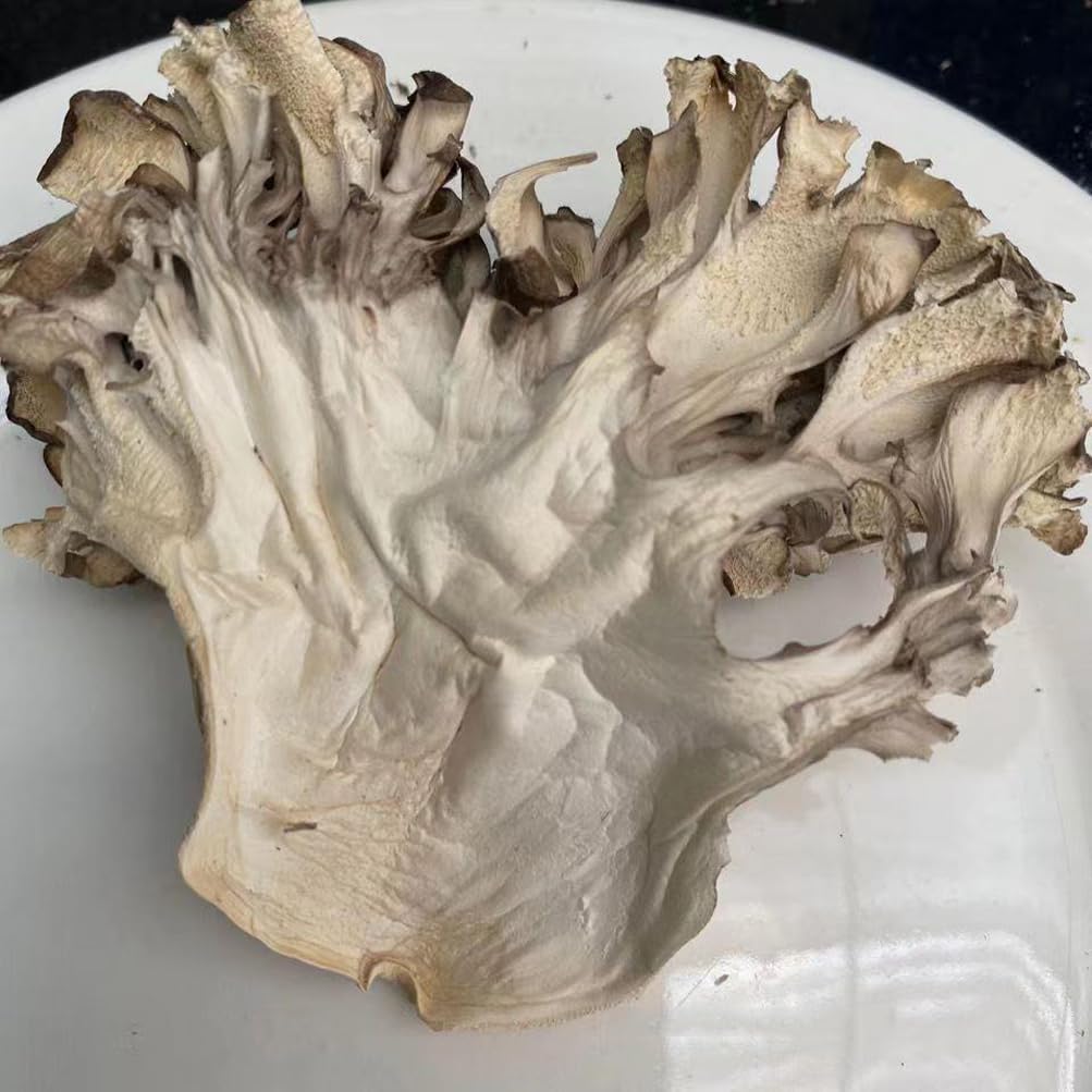 Maitake Mushroom Huishuhua (500g)