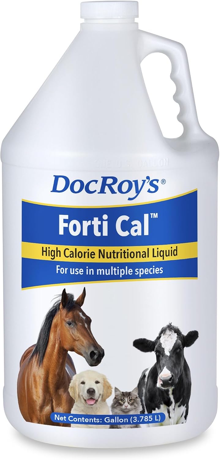 Doc Roy's Forti Cal Líquido - Suplemento Energético de Alto Contenido Calórico para Perros, Gatos, Caballos y Ganado, 1 Galón