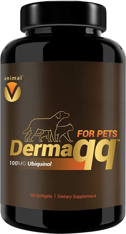 Dermaqq Ubiquinol para Perros y Gatos – – Apoyo frente a puntos calientes: El ubiquinol puede ayudar a calmar la – Image 5