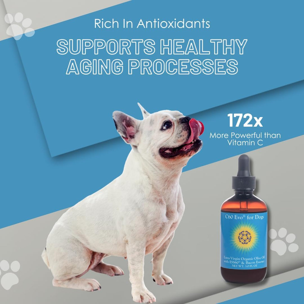 C60 EVO Suplemento para Perros con ESS60 Puro en Aceite de Oliva Virgen Extra, Sabor Bacon, 89 ml