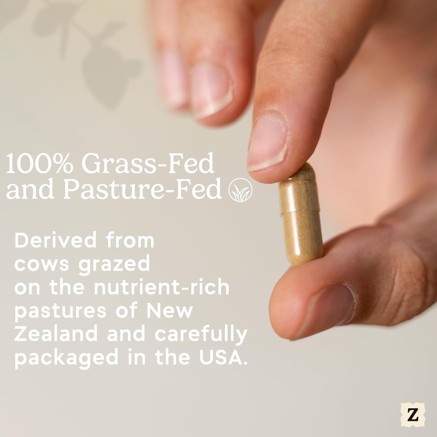 Zen Principle Suplemento de Intestinos de Res con Tripa - Paquete de 2 - 420 Cápsulas - Grass Fed New Zealand