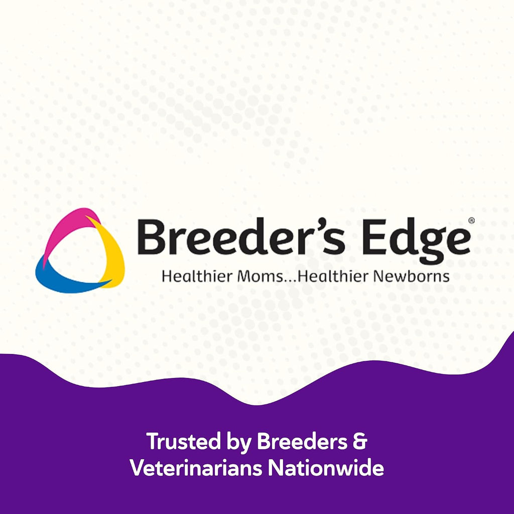 Breeder's Edge B Strong Powder - Suplemento de vitamina B para perros y gatos (300g)