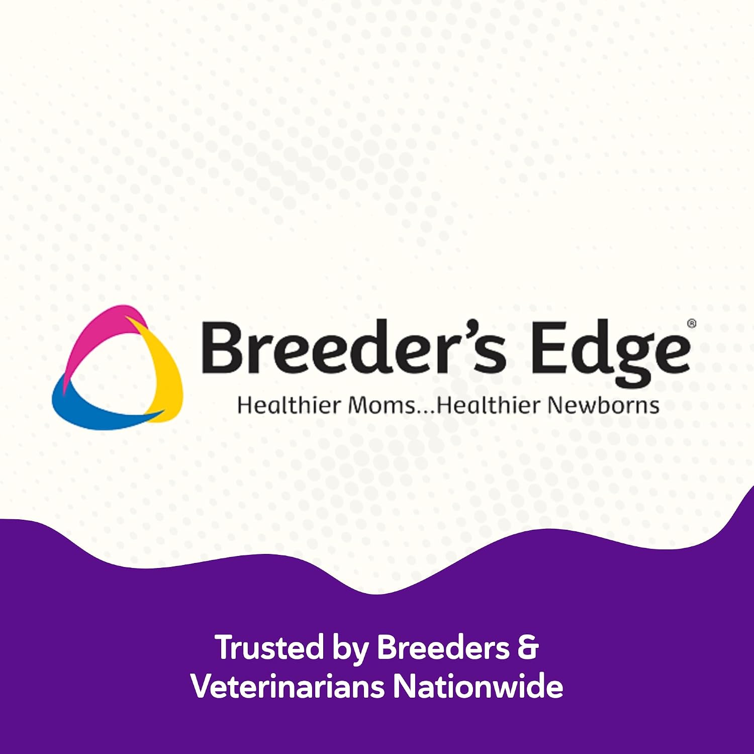 Breeder's Edge B Strong Powder - B Complex for Dogs and Cats, 1 kg