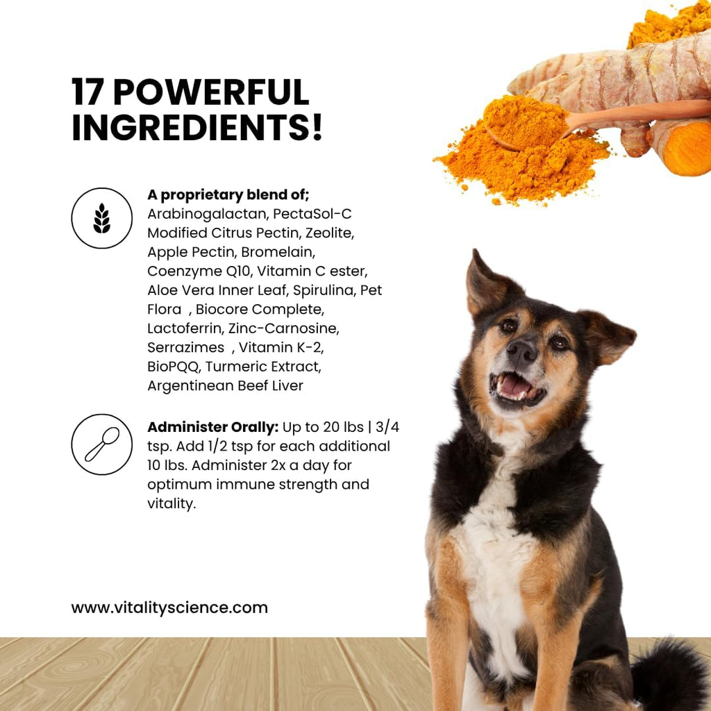 Vitality Science Celloquent Gold para Perros - Suplemento de Apoyo Inmunológico Avanzado con 17 Ingredientes Naturales - 60g