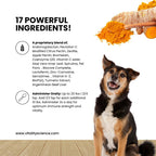 Vitality Science Celloquent Gold para Perros - Suplemento de Apoyo Inmunológico Avanzado con 17 Ingredientes Naturales - 60g