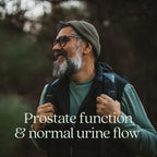 New Chapter Zyflamend Prostate – Saw Palmetto, Aceite de Pepita de Calabaza y Cúrcuma, 60 Cápsulas Vegetarianas