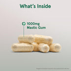 Jarrow Formulas Mastic Gum 1000 mg - Suplemento para la Salud Gastrointestinal - 60 Cápsulas Vegetales (30 Días)