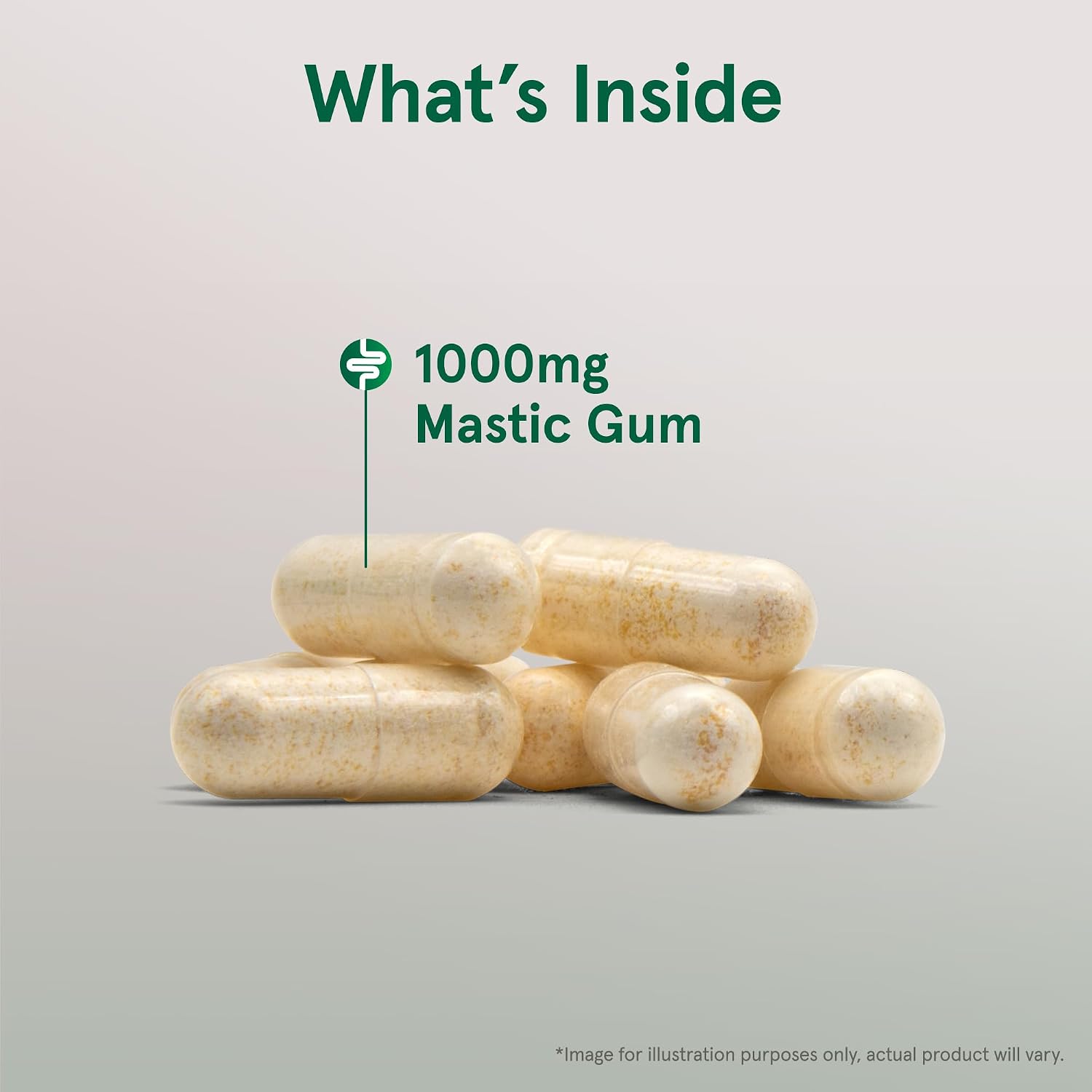 Jarrow Formulas Mastic Gum 1000 mg - Suplemento para la Salud Gastrointestinal - 60 Cápsulas Vegetales (30 Días)