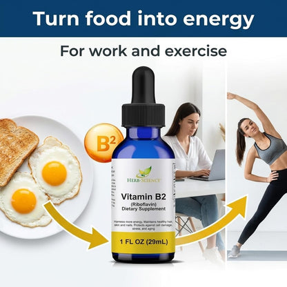 Herb-Science Vitamina B2 (Riboflavina) en – Metabolismo energético normal: La riboflavina contribuye al – Image 6