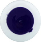 Polvo de Algas Marinas Orgánico - NOW Foods - 227 g (8 oz)