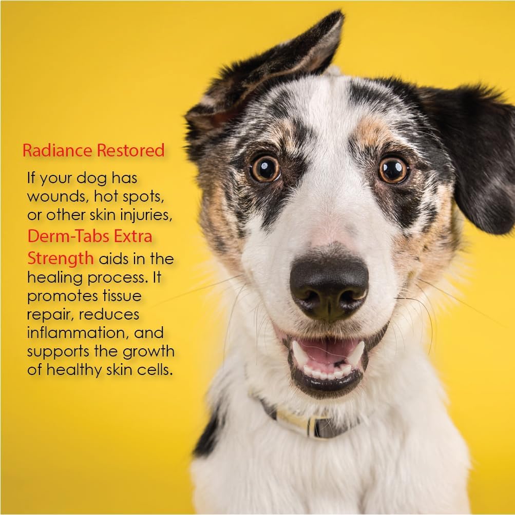 Derm-Tabs Extra Strength Suplemento para Piel y Pelaje para Perros - Omega 3 y 6, Vitaminas, Minerales y Antioxidantes - 60 Comprimidos Masticables