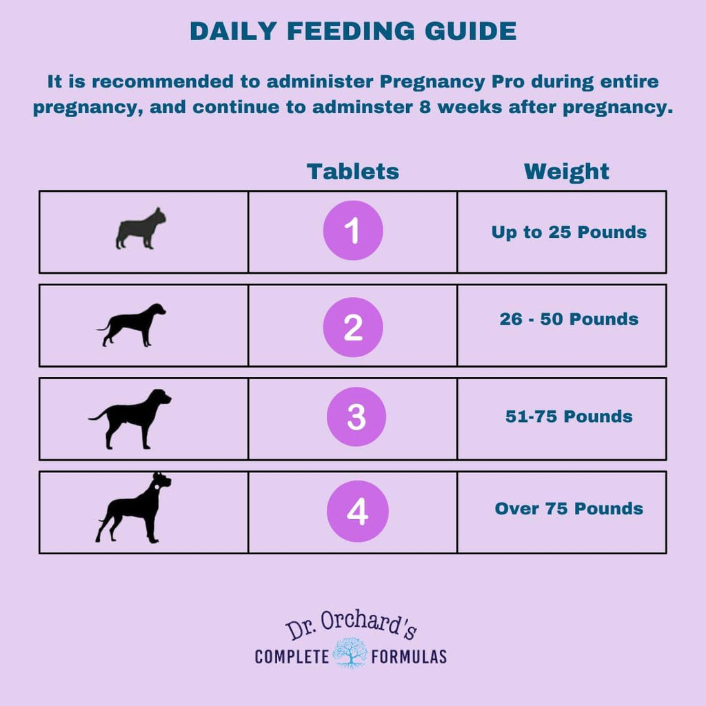 Dr Orchards Pregnancy Pro Vitaminas prenatales para perros - Suplemento premium para embarazo, lactancia y salud del cachorro, 90 comprimidos