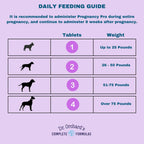 Dr Orchards Pregnancy Pro Vitaminas prenatales para perros - Suplemento premium para embarazo, lactancia y salud del cachorro, 90 comprimidos