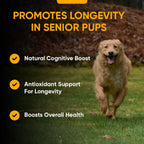 iHeartDogs Senior Super 7 Multivitamínico Diario para Perros - 7 en 1 para Longevidad y Cognición