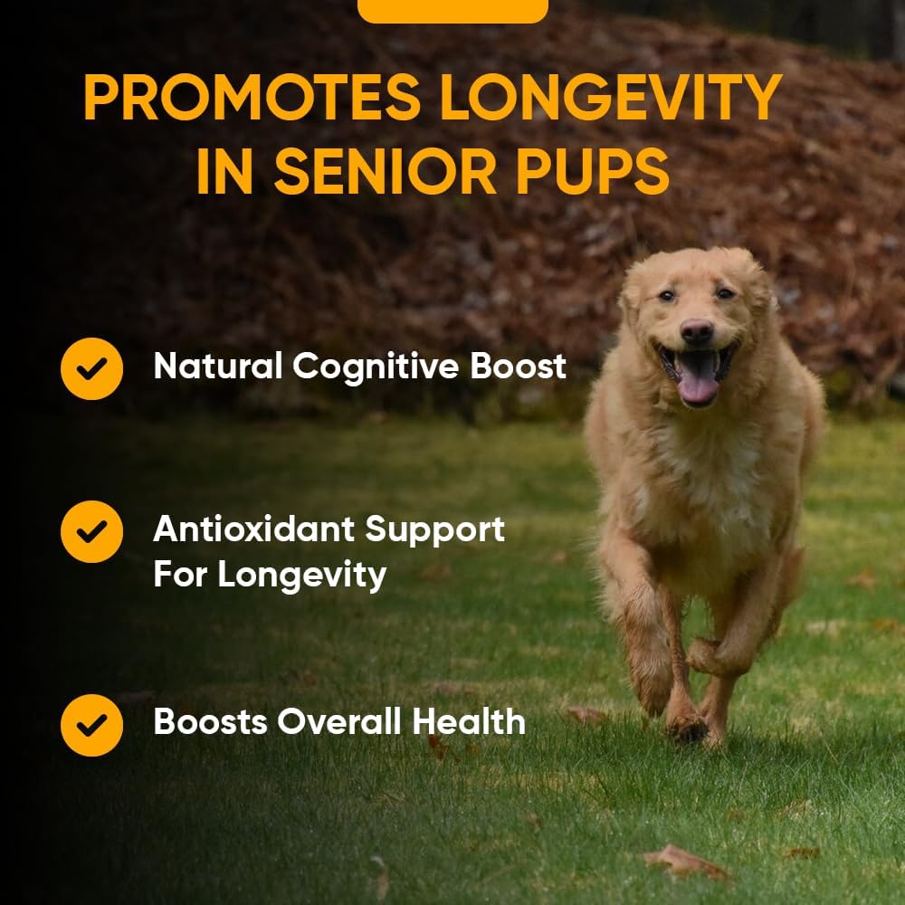 iHeartDogs Senior Super 7 Multivitamínico Diario para Perros - 7 en 1 para Longevidad y Cognición