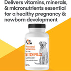 Bitch Pills - Vitaminas prenatales para perras gestantes - 45 comprimidos