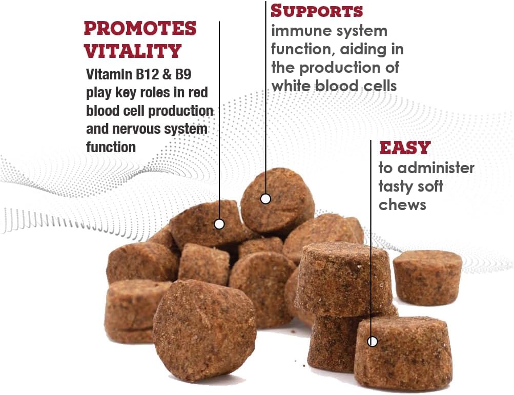 CobalaVet Vitaminas B12 y B9 para Perros y Gatos Pequeños - 60 Masticables