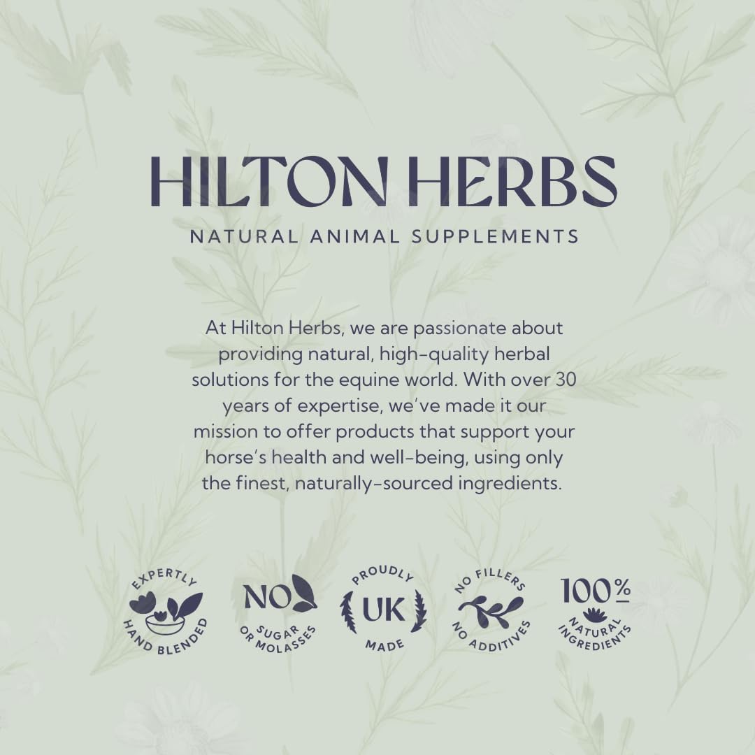 Hilton Herbs Canine Detox Support – Suplemento herbario para la función hepática en perros, bote de 125 g