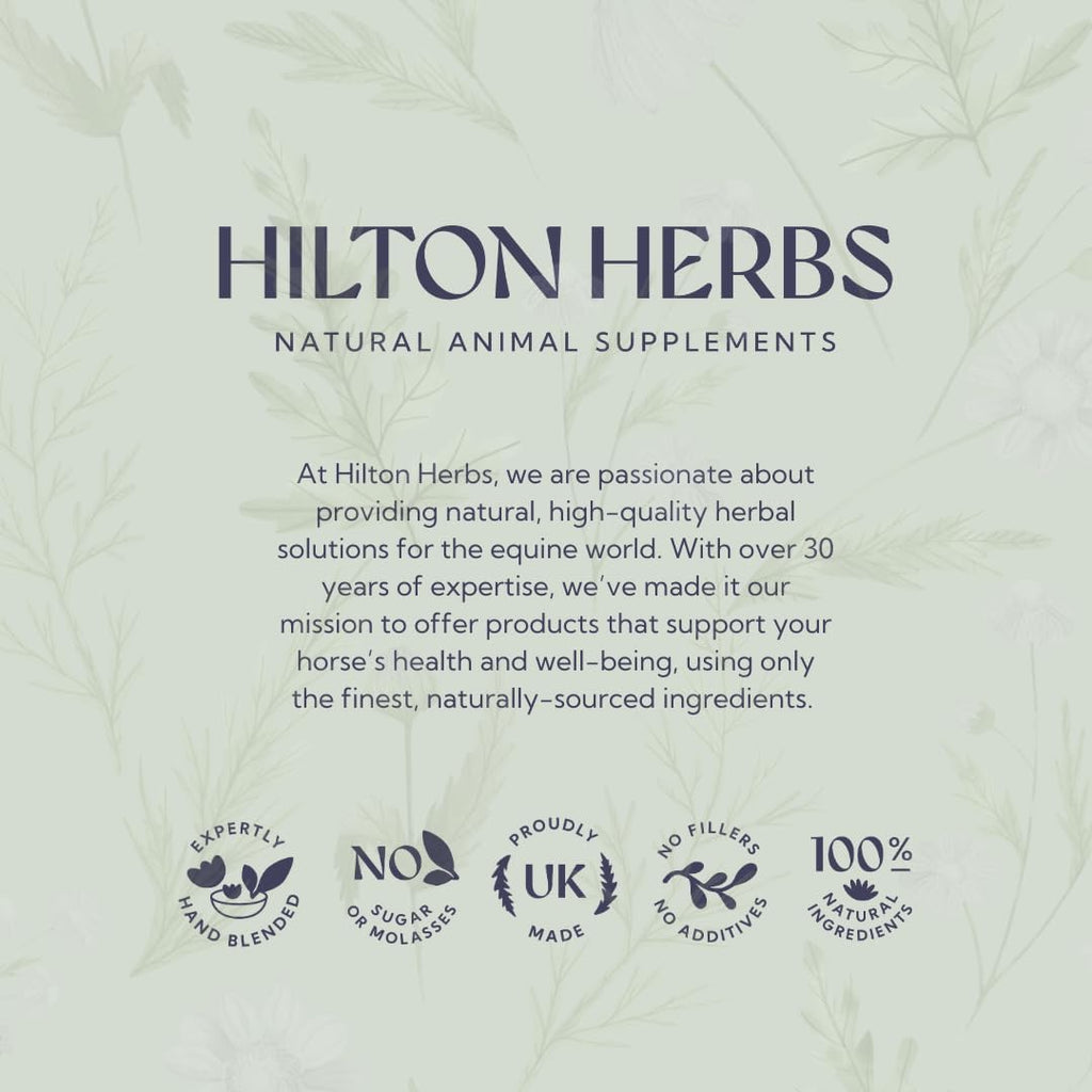 Hilton Herbs Senior Dog Optimum Health Supplement for Older Dogs, 4.4 oz