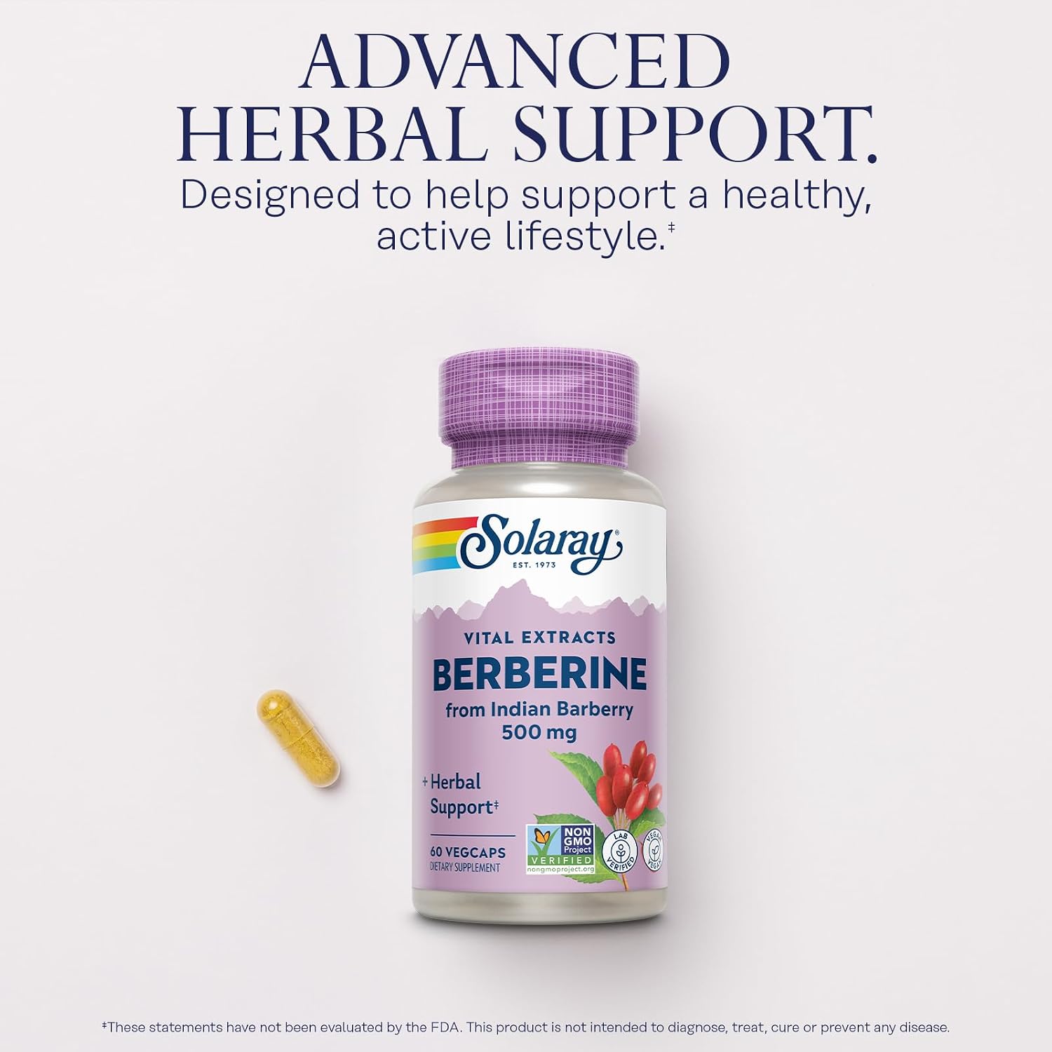 SOLARAY Berberina 500mg - Suplemento Vegano con Berberina HCL de Agracejo Indio - 60 Cápsulas