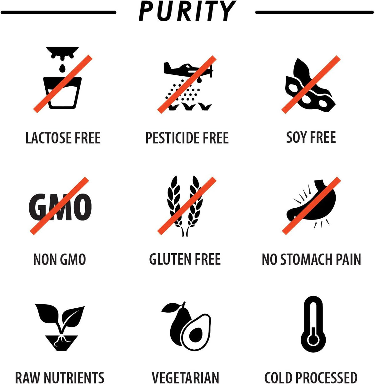 Multivitamínico Vegano Diario con BCAA y – L-arginina, L-glutamina y L-carnitina: Estos aminoácidos apoyan la – Image 7