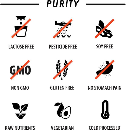 Multivitamínico Vegano Diario con BCAA y – L-arginina, L-glutamina y L-carnitina: Estos aminoácidos apoyan la – Image 7