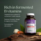New Chapter Suplemento para la Salud Nerviosa con Vitaminas B1, B6 y B12 - 30 Cápsulas