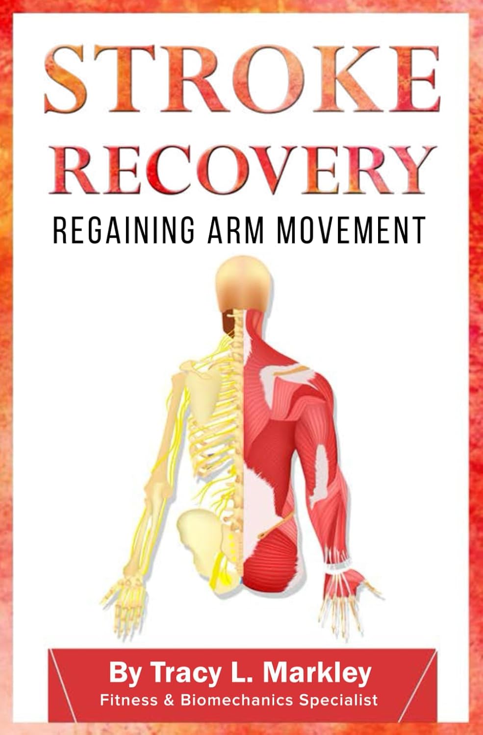 Stroke Recovery: Regaining Arm Movement