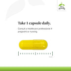 Berberine MetX, Ultra Absorption, 60 Cápsulas – Terry Naturally