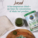 Garden of Life Raw Organic Perfect Food Green Superfood Juiced Greens Powder - Chocolate, 60 Raciones