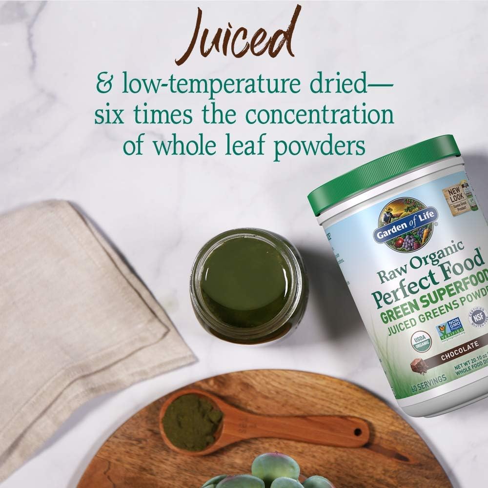 Garden of Life Raw Organic Perfect Food Green Superfood Juiced Greens Powder - Chocolate, 60 Raciones