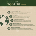Wolffia globosa Superalimento Deshidratado | 60g