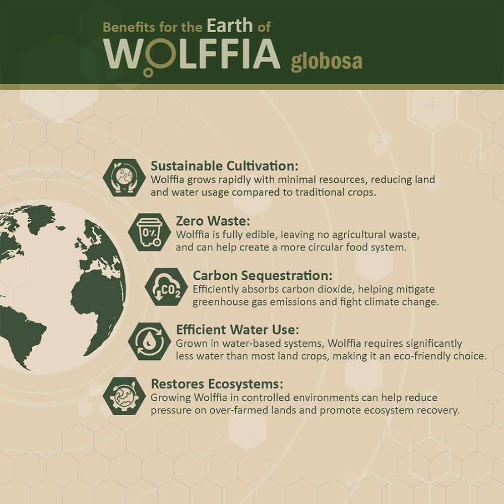 Wolffia globosa Superalimento Deshidratado | 60g