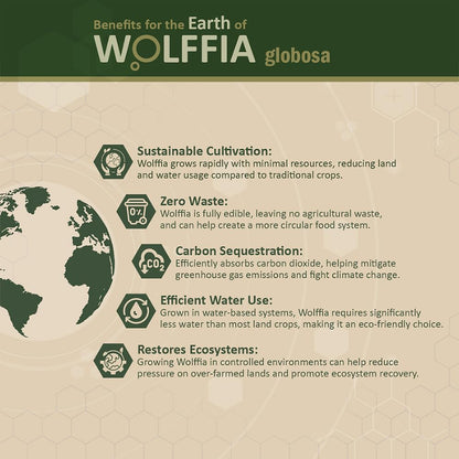 Wolffia globosa Superalimento Deshidratado | – Batidos y smoothies: Añade una cucharada (unos 5 g) a tu batido de – Image 7