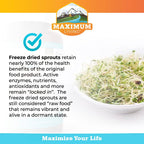 Vita-Sprout Whole-Food Multivitamin & Phytonutrient Blend, 120 Cápsulas