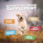 Pets Purest Aceite de Salmón para Perros, Gatos, Caballos y Hurones - 946 ml 100% Puro Premium - Suplemento Natural Omega 3, 6 y 9