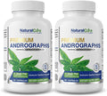 Extracto Premium de Andrographis Paniculata 1200 mg (100 mg Andrographólidos) - 120 Cápsulas Veganas