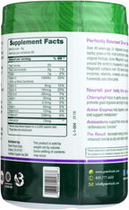 Green Foods Green Magma 300 g