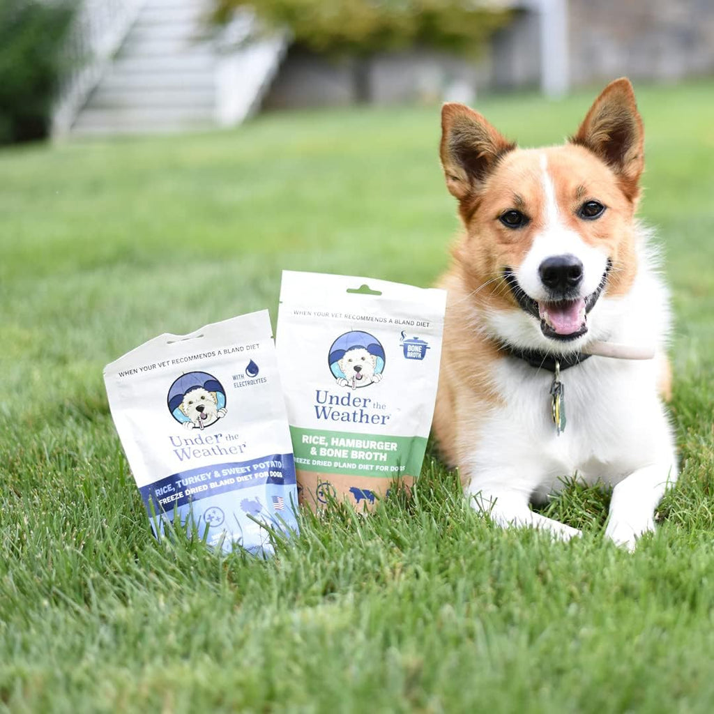 Under the Weather Dieta Blanda para Perros - 6 Paquetes Multisabor - 170g cada uno