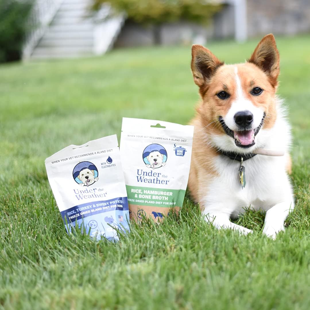 Under the Weather Dieta Blanda para Perros - 6 Paquetes Multisabor - 170g cada uno