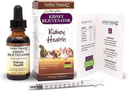 Amber NaturalZ Kidney Rejuvenator - – Raíz de sello de oro (Hydrastis canadensis): planta tradicionalmente usada – Image 6