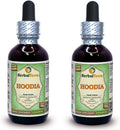 Hoodia (Hoodia Gordonii) Glicerito, Extracto Líquido sin Alcohol (Marca: HerbalTerra) 2x60 ml