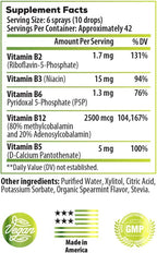 B-Bomb Vitamin B12 + B Complex Liquid Spray: Metilcobalamina con Adenosilcobalamina - Energía y Estado de Ánimo, Sin Azúcar, Vegano, Sabor Menta Orgánica