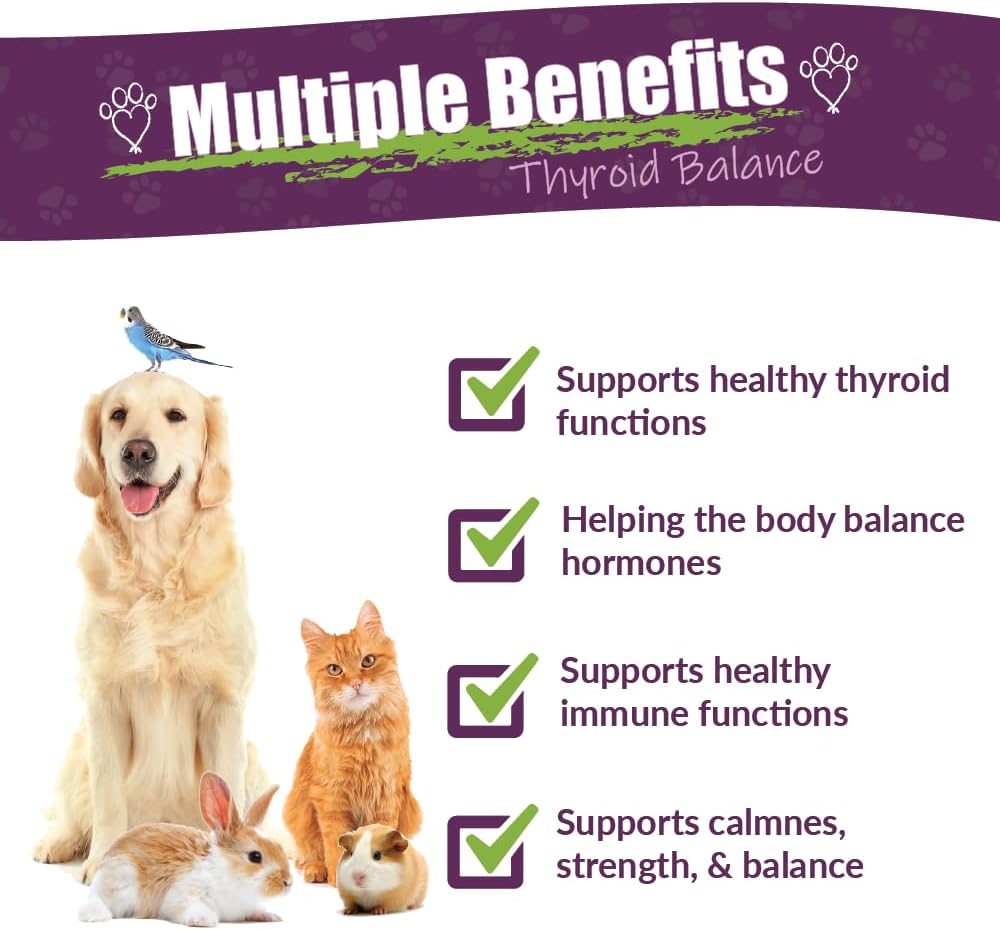 Amber NaturalZ TYD Thyroid Balance Suplemento Herbal para Mascotas (30 ml)