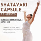 Shatavari Cápsulas 1000mg – 90 Cápsulas Veganas – Complemento Ayurvédico para la Mujer