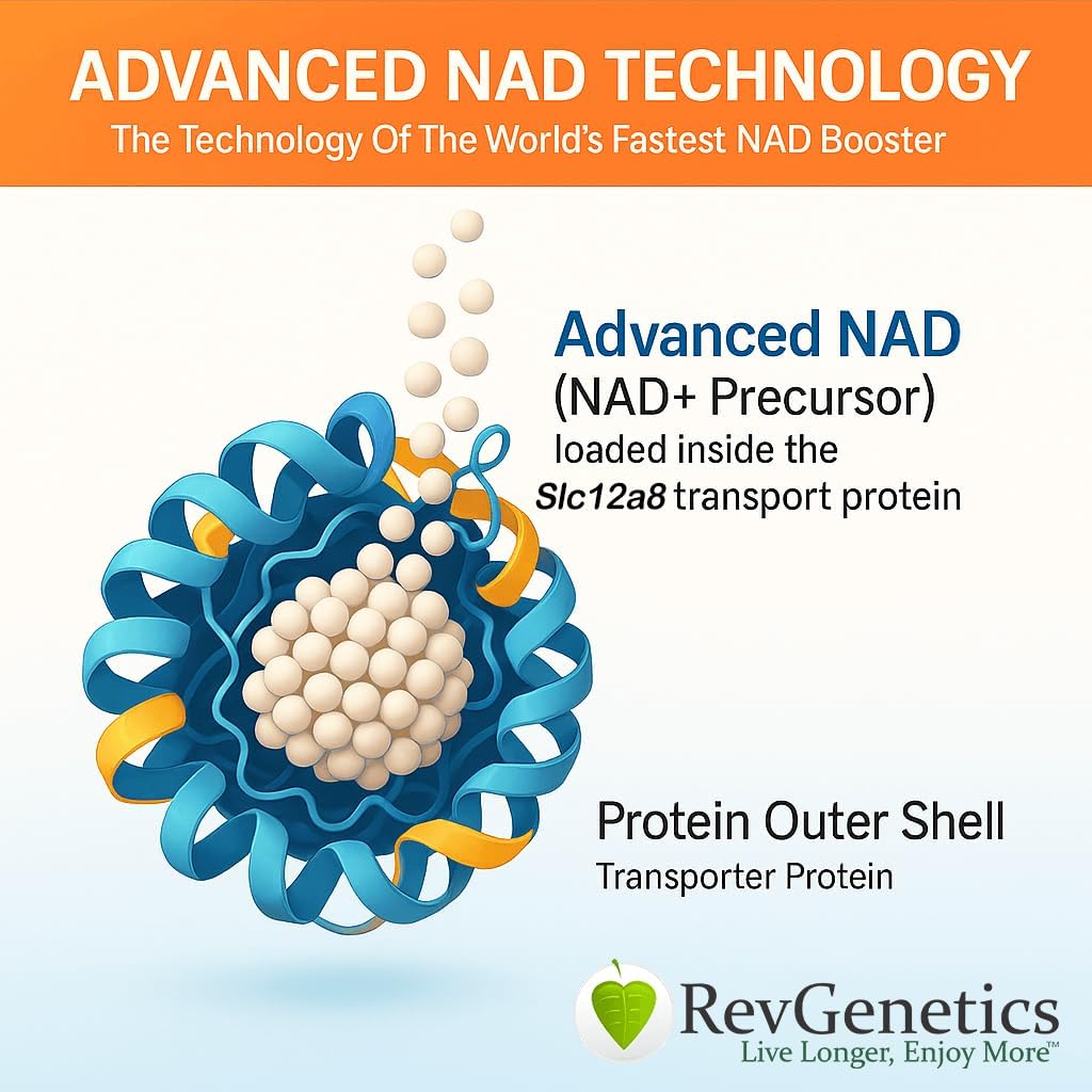 REVGENETICS Advanced NAD Powder – Suplemento de NAD, 147 porciones, 25 gramos
