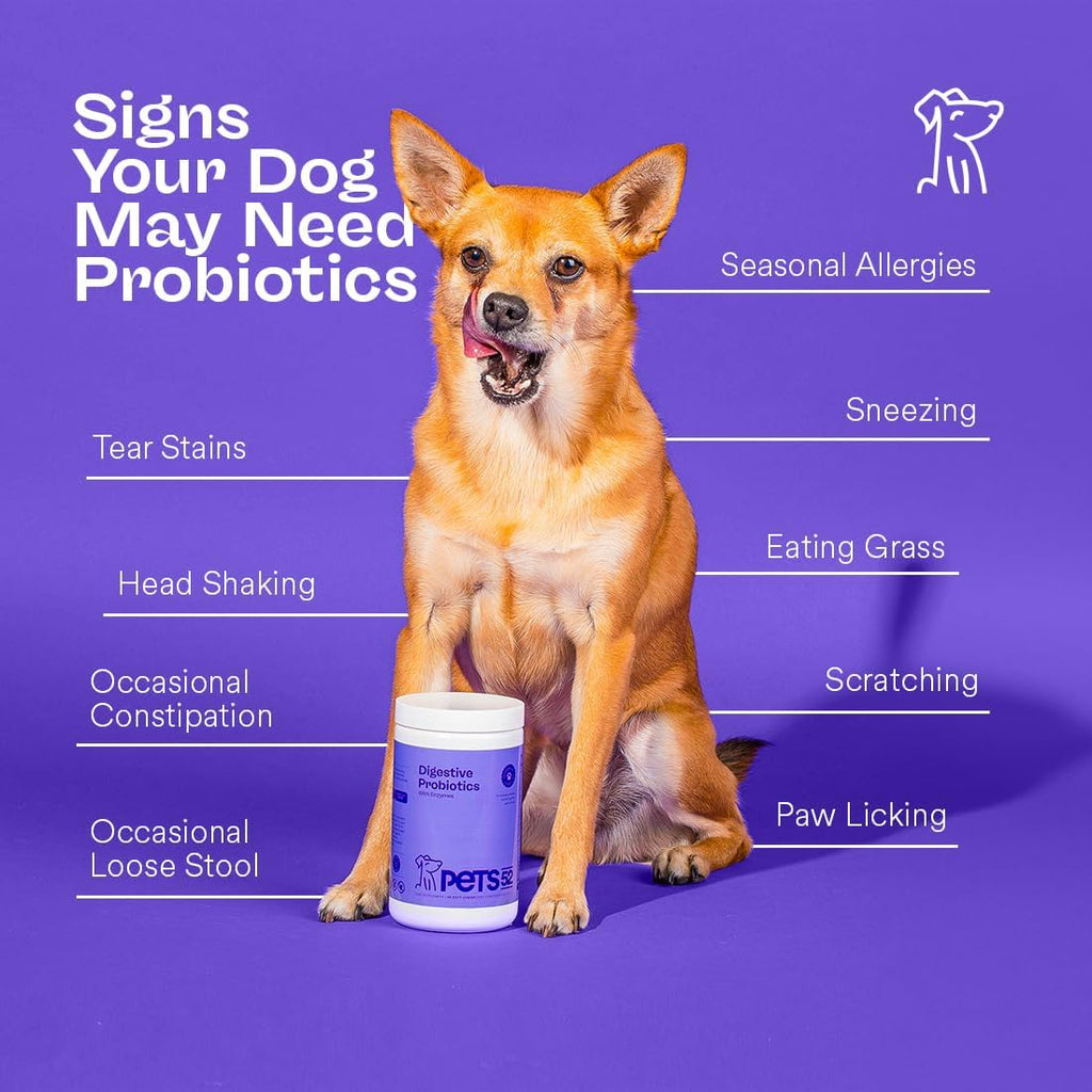 Pets 52 - Probióticos para Perros con Enzimas Digestivas - Apoya la Flora Intestinal, Refuerza el Sistema Inmunológico, Fórmula de Fuerza Veterinaria