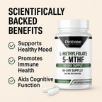 Probase Nutrition Professional Strength L-Methyl Folate 15mg - Active 5-MTHF Form - Supports Mood, Methylation, Cognition - Bioavailable Vitamin B9 (60 Capsules) - Vegan, Non-GMO, Gluten-Free