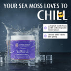 Sea Moss Gel Orgánico Crudo Púrpura Chondrus Crispus (Musgo Irlandés) - 8 oz