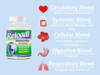 Reload! Immunity - Complejo Multivitamínico con Echinacea, Vitaminas A, C, D, Zinc, Selenio, Ginkgo, Aloe, Probiótico/Prebiótico, Fenogreco - 120 Cápsulas, 30 Días